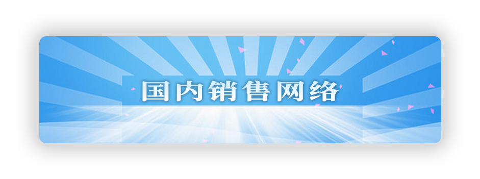 國(guó)內(nèi)銷售網(wǎng)絡(luò)