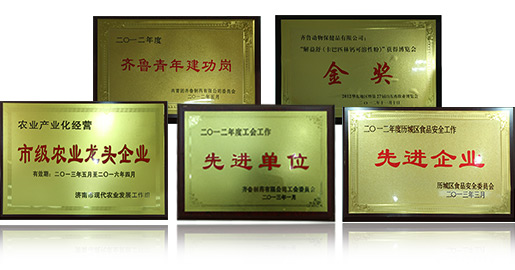 創(chuàng)新平臺(tái)