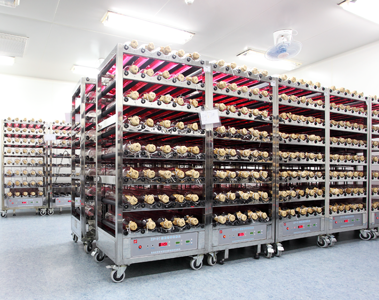 滅活苗細胞線-溫室-細胞培養(yǎng)間-轉(zhuǎn)瓶機