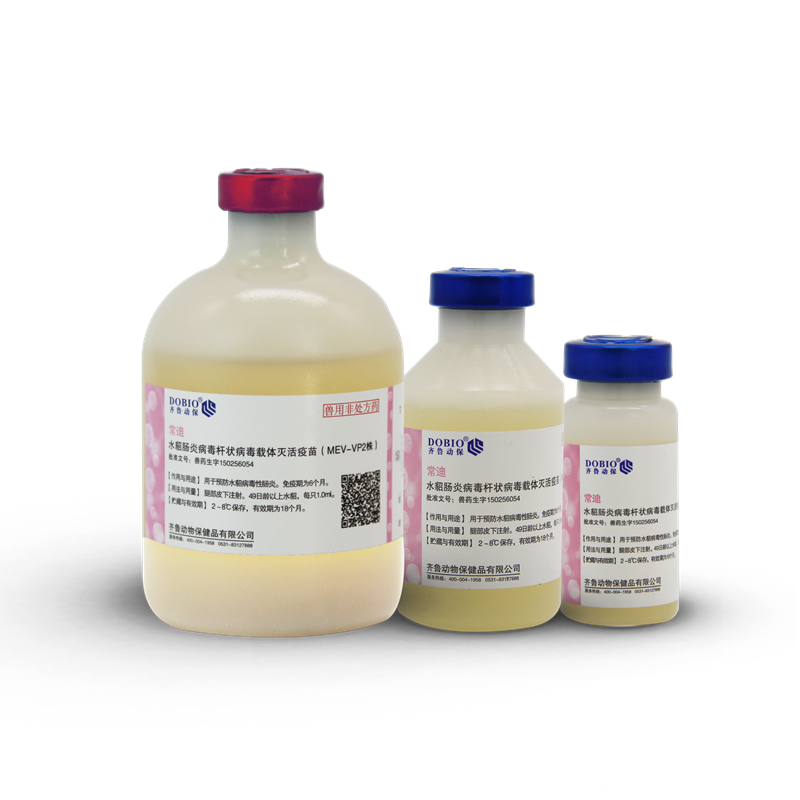 水貂腸炎病毒桿狀病毒載體滅活疫苗(MEV-VP2株)